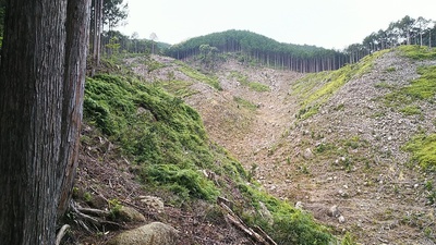登城道の横の断崖