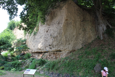 尼ヶ淵の崖