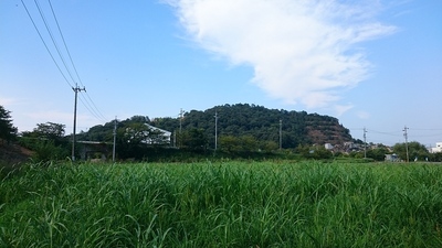 三井山全景