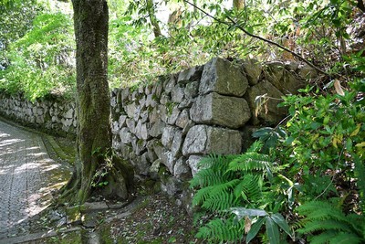 登城道の石垣