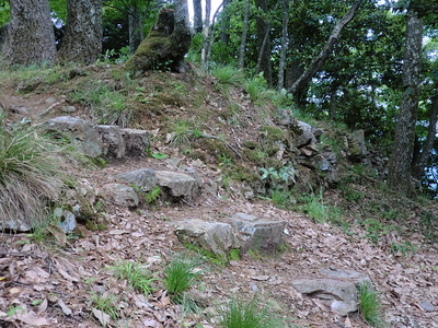 京極丸の石段と石垣