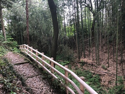 堀(三の丸東側)