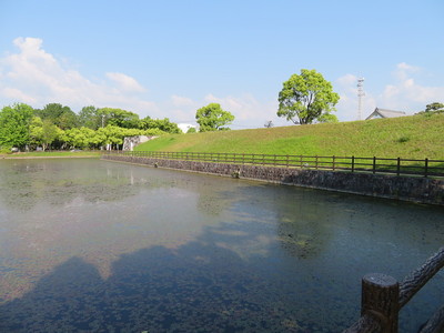 本丸南側の土塁