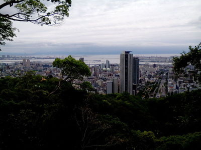 神戸の街を一望