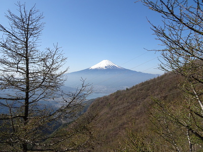 標高1600m付近からの富士山