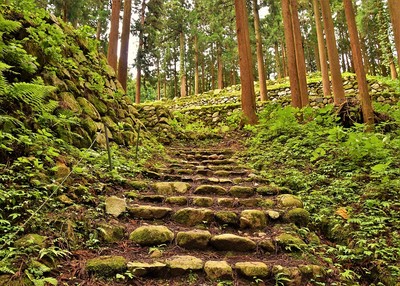 桜馬場に向かう石段と石垣