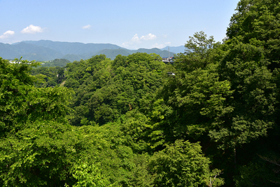 上野原城跡遠景