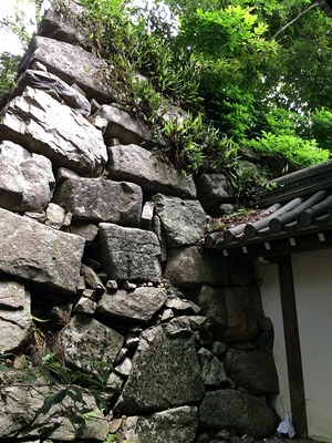 寺門裏の石垣