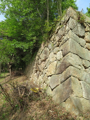 三の丸西側の石垣