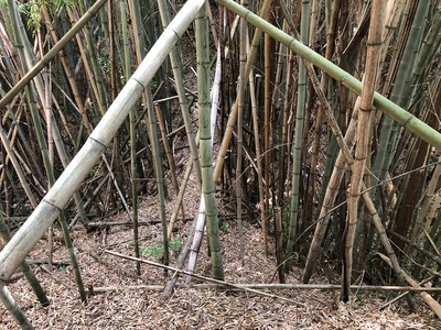 空堀と土橋