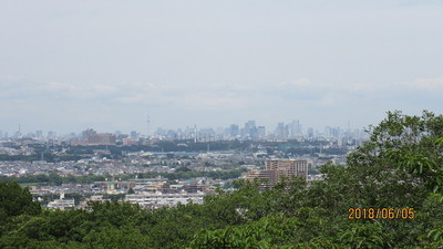 展望台からの見晴らし 東京方面