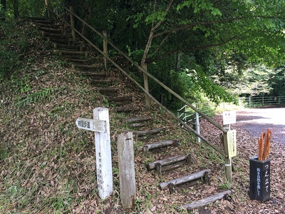 林間歩道がオススメ