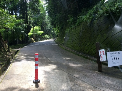 こちらは歩道 帰りはこちらを歩くのが吉