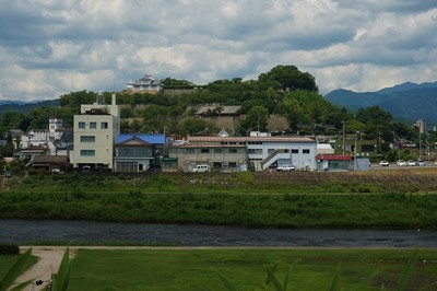 吉井川対岸から見た城址