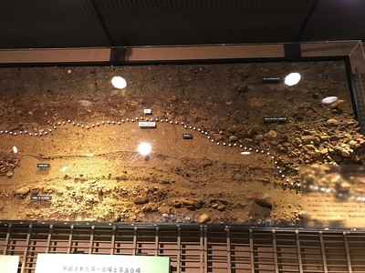 品川歴史館にある台場の土塁断面標本