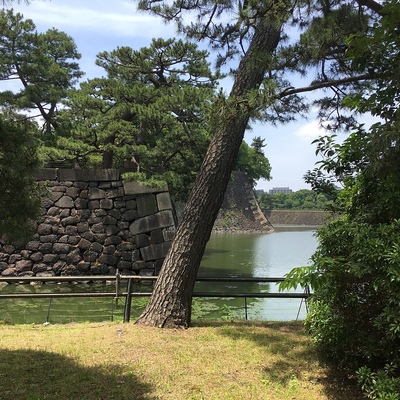 平川濠と本丸北面の石垣