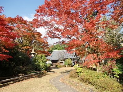 芳徳寺と紅葉