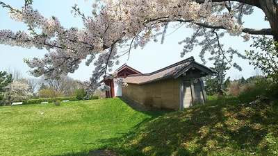 外郭東門と築地と桜