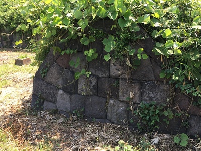 内部の土塁部の石垣