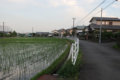 田中城周り