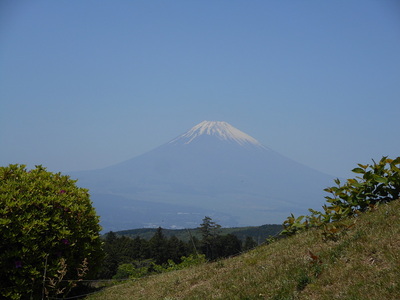 すり鉢曲輪見張り台からの富士