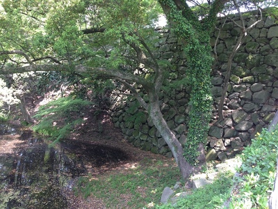 堀と石垣