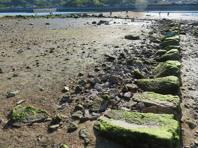 西側海岸の石垣跡