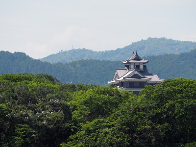 緑に浮かぶ福知山城