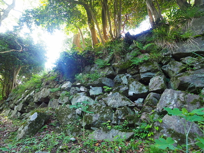 ホウヅキ段石垣