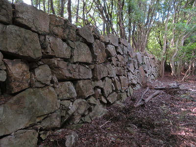 西の丸・南側石垣