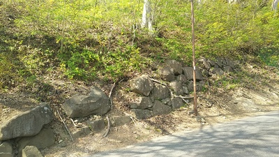 網御門跡南側の残存石垣２