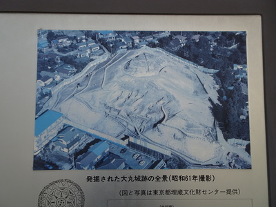発掘された大丸城跡の全景写真