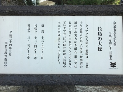 長島の大松の案内板