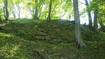 本丸跡の現存石垣