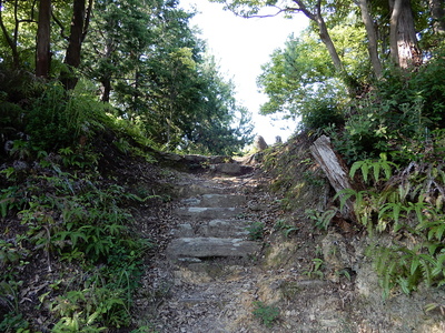明神丸虎口の石階段