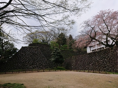 鶴丸倉庫裏の石垣