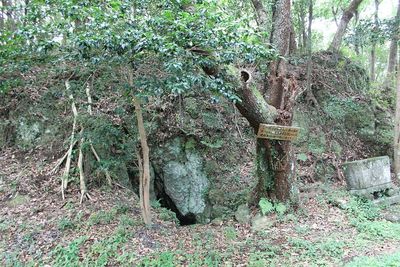 主郭櫓台と水の手