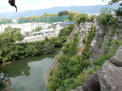 高石垣より上野高校グラウンドを見下ろす