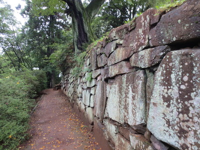 御殿桜（公園の西側）の石垣