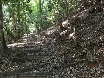 登り口から居館跡までの登城路