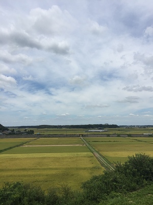 本佐倉城北側からの眺望