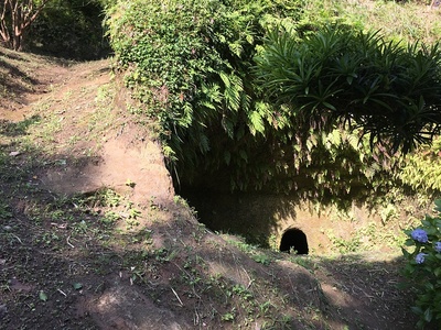 山麓で見かけた洞