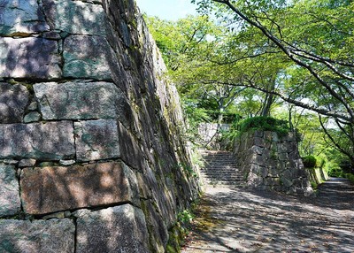 本丸下段石垣と二の丸虎口（南側）