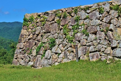 南二の丸石垣（南側）