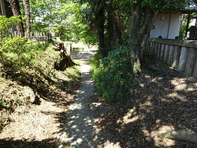 八坂神社西側の地形