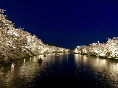 西堀の夜桜