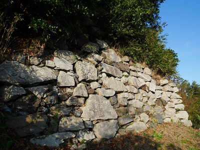 伝本丸北面の西側に残る石垣