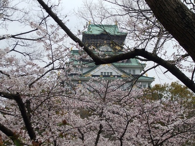 桜満開の西の丸広場からの天守閣