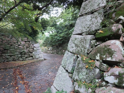 桐木坂門跡石垣