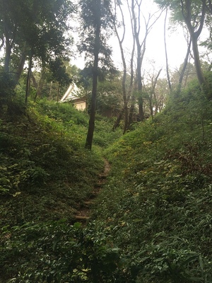 城山神社南側石段から二郭社務所を撮影